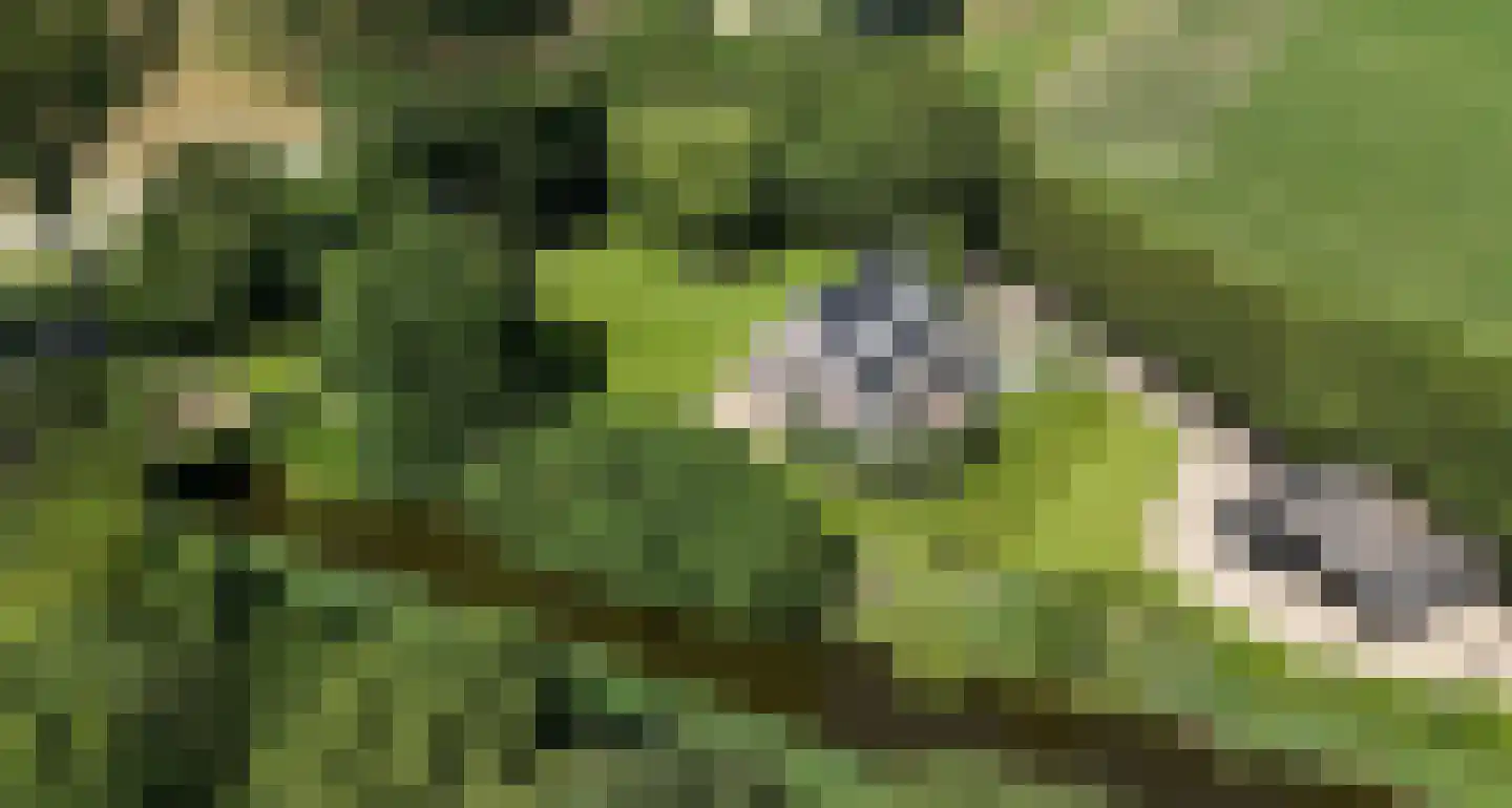 Galathesedijk 5 Ooltgensplaat thumbnail 4