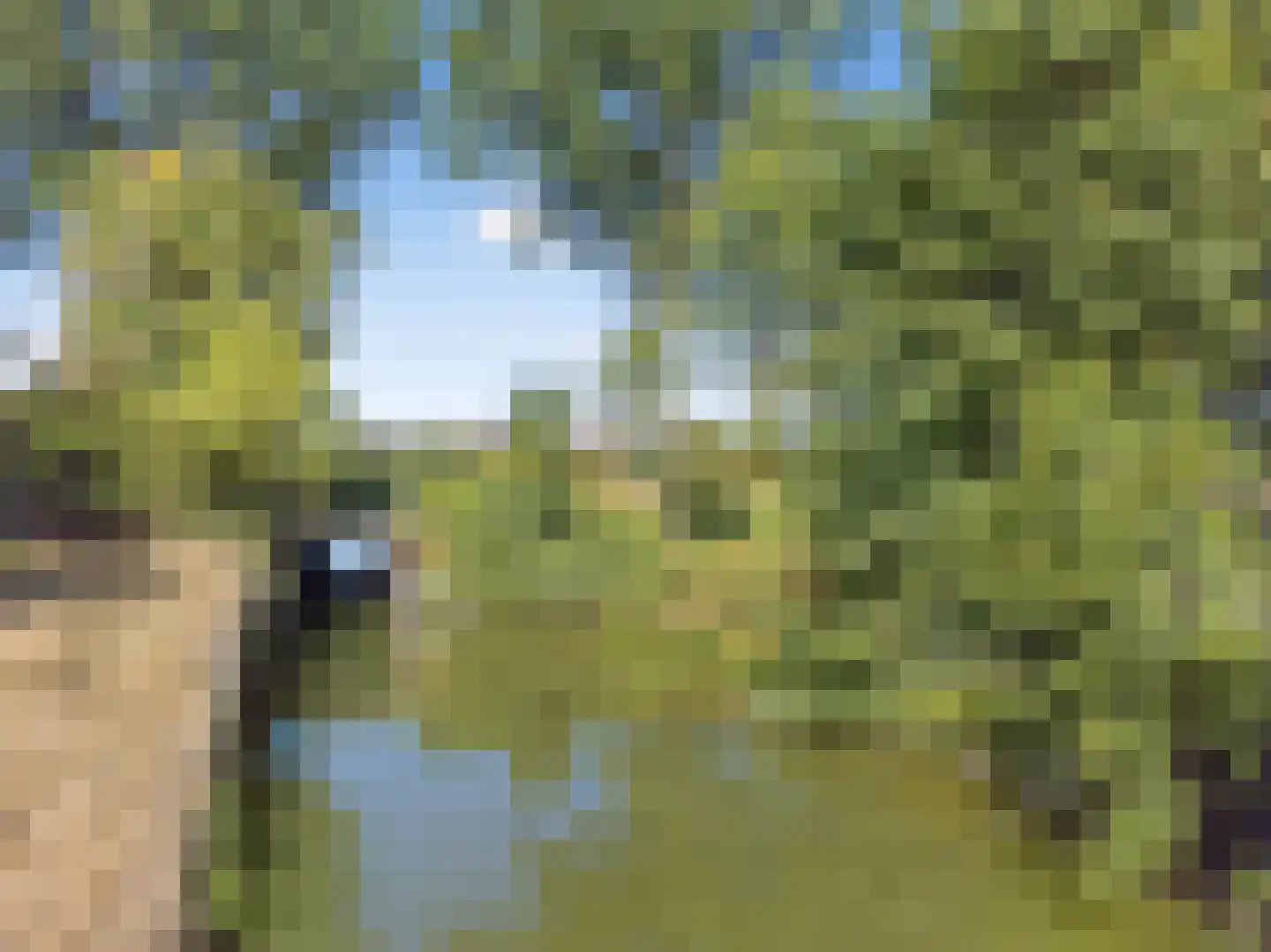 Galathesedijk 5 Ooltgensplaat thumbnail 57