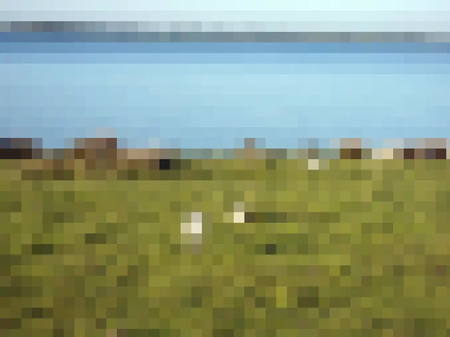 Galathesedijk 5 Ooltgensplaat thumbnail 69