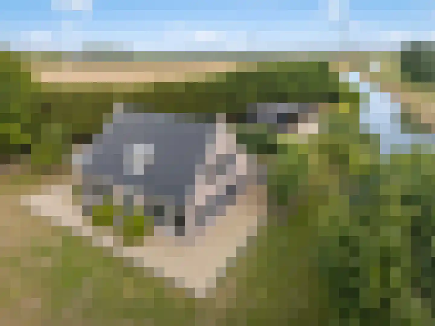 Galathesedijk 5 Ooltgensplaat thumbnail 7
