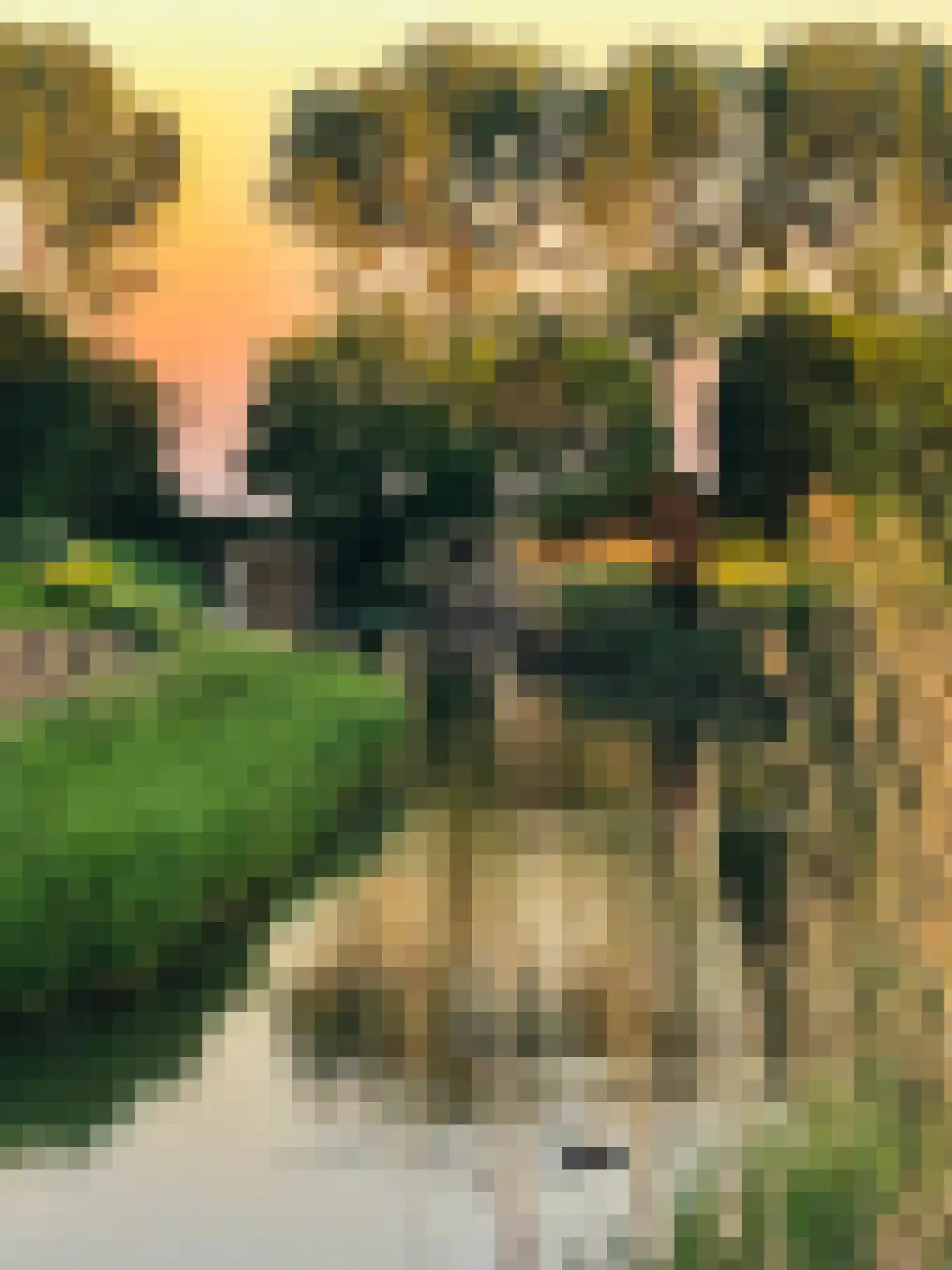 Galathesedijk 5 Ooltgensplaat thumbnail 63