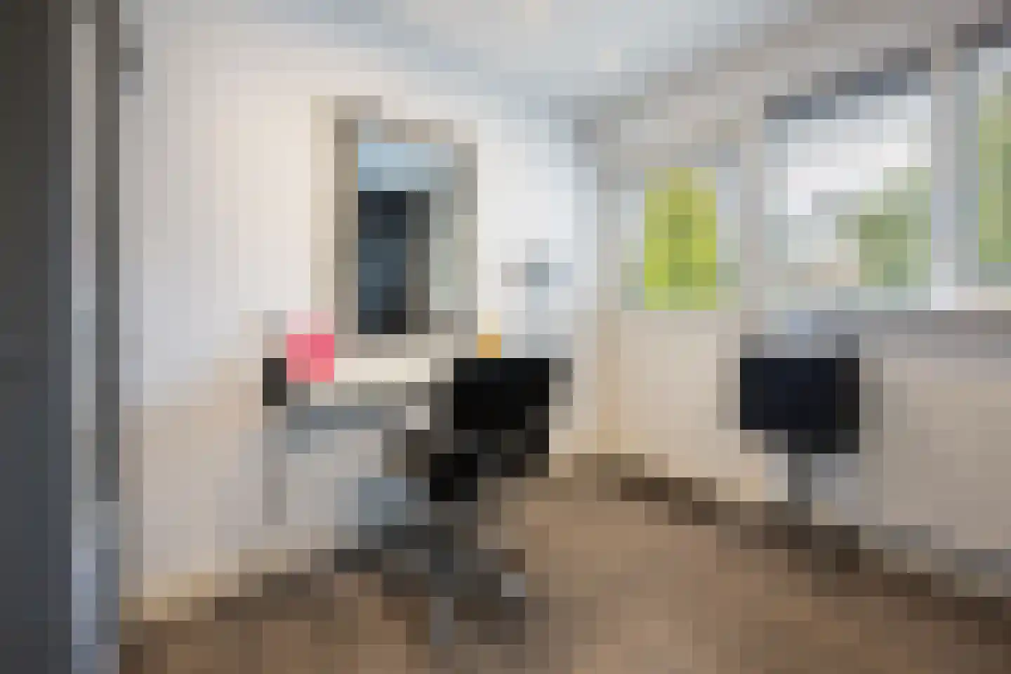 Galbasingel 14 Beuningen Gld thumbnail 20