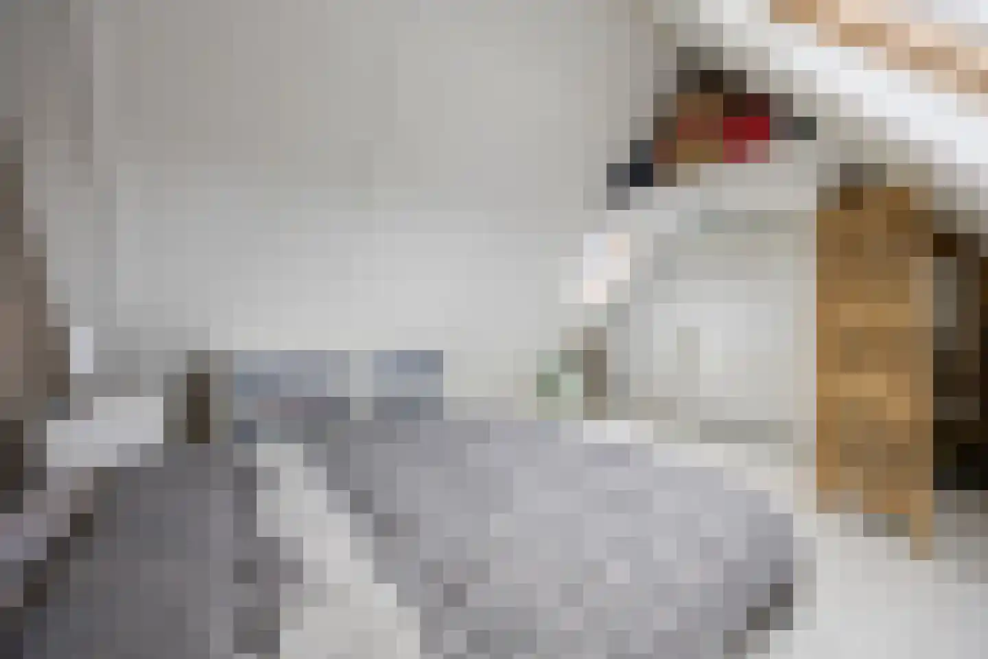 Galbasingel 14 Beuningen Gld thumbnail 39