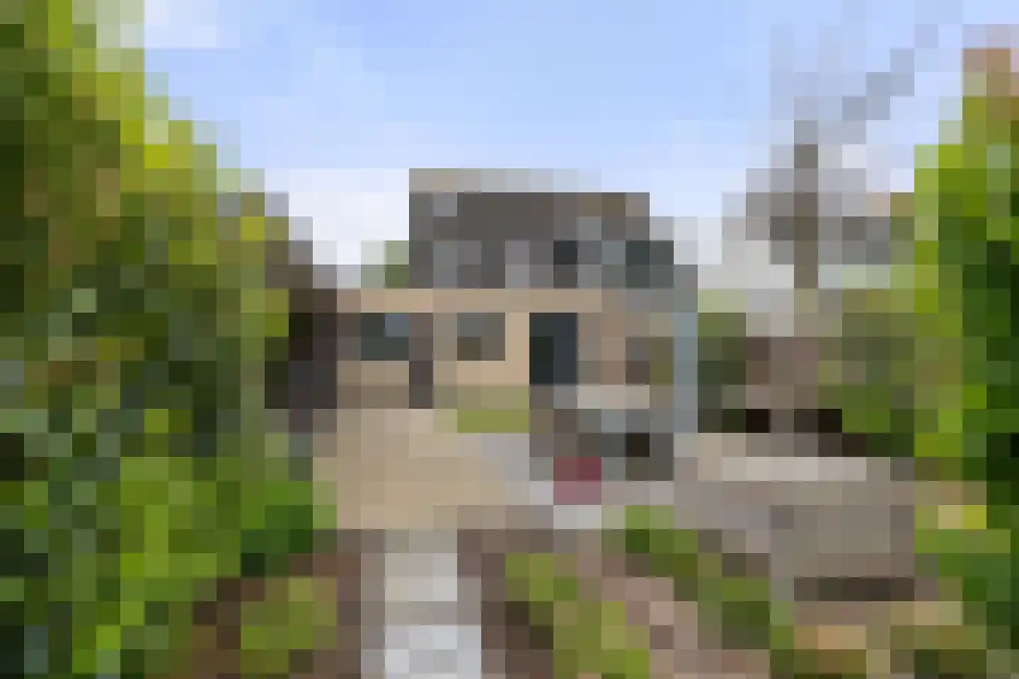 Galbasingel 14 Beuningen Gld thumbnail 50