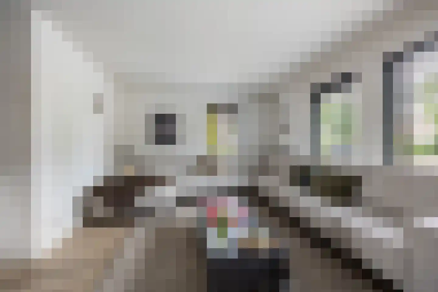 Galbasingel 14 Beuningen Gld thumbnail 7