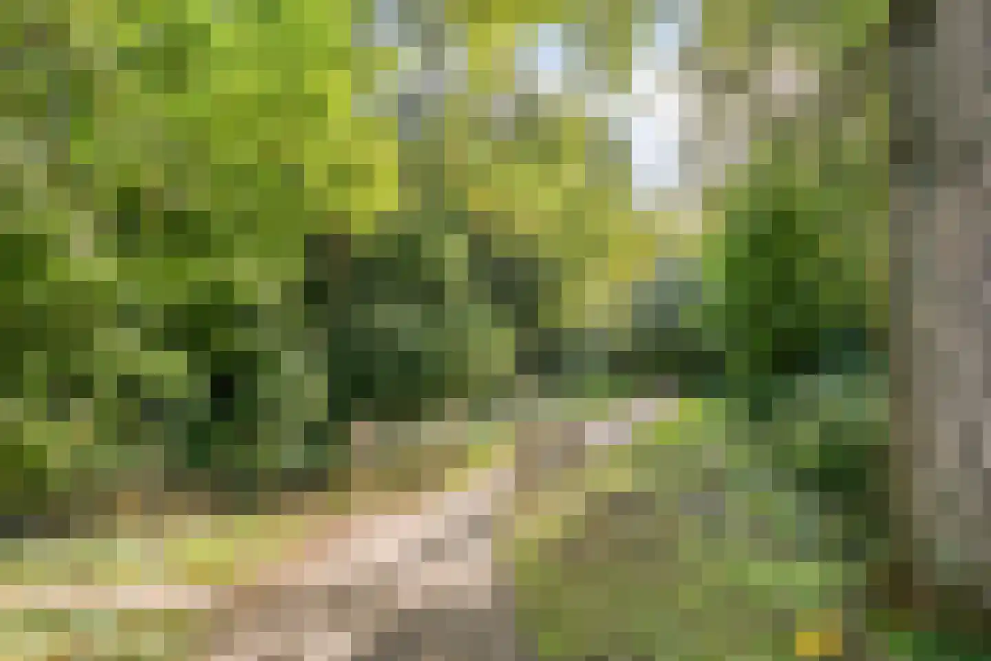 Galbasingel 18 Beuningen Gld thumbnail 38