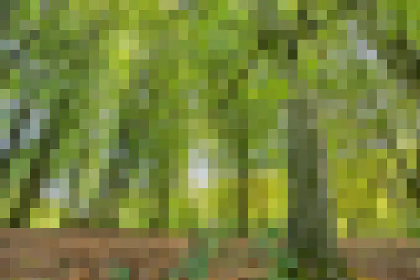 Galbasingel 18 Beuningen Gld thumbnail 39
