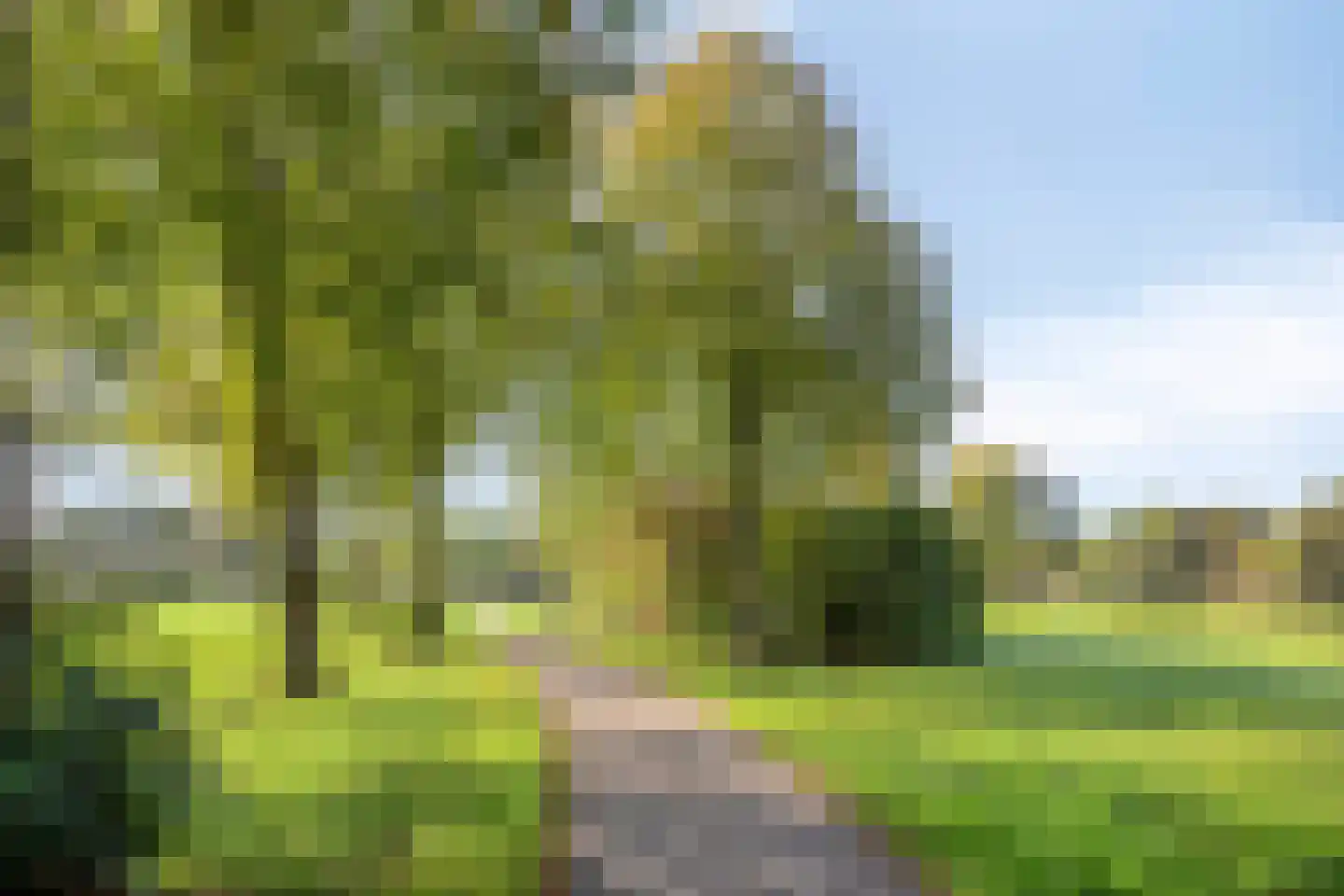 Galbasingel 18 Beuningen Gld thumbnail 40