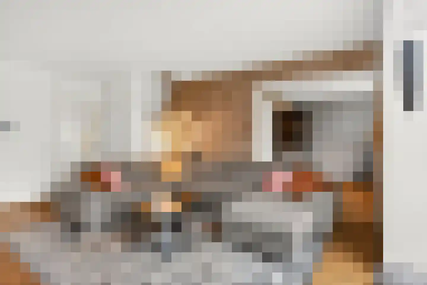 Galbasingel 25 Beuningen Gld thumbnail 13