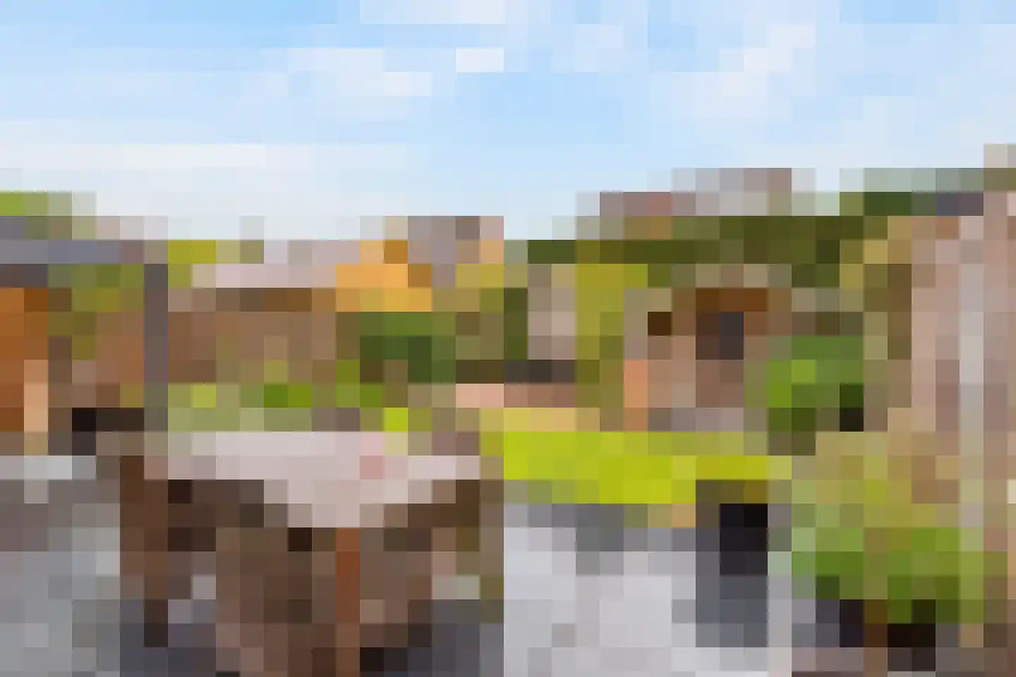 Galbasingel 25 Beuningen Gld thumbnail 35