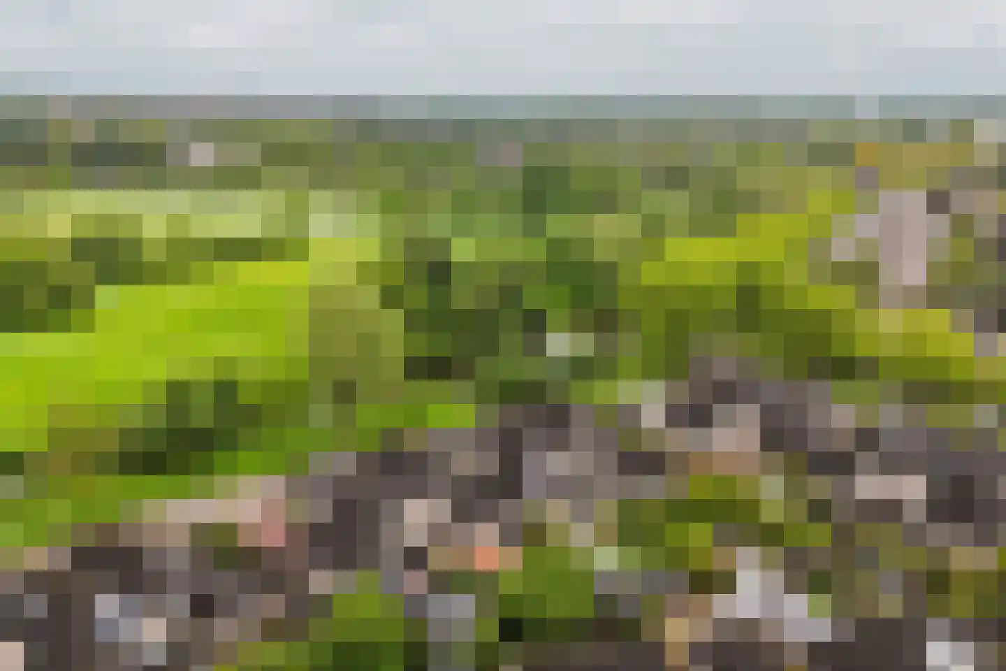 Galbasingel 25 Beuningen Gld thumbnail 47