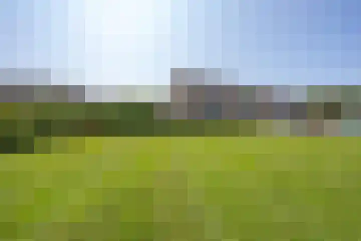 Galderie 16 Buren thumbnail 10