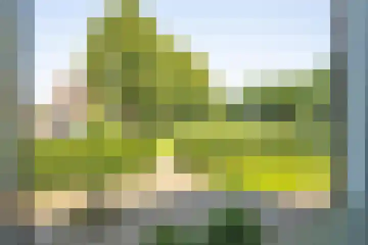 Galderie 16 Buren thumbnail 38