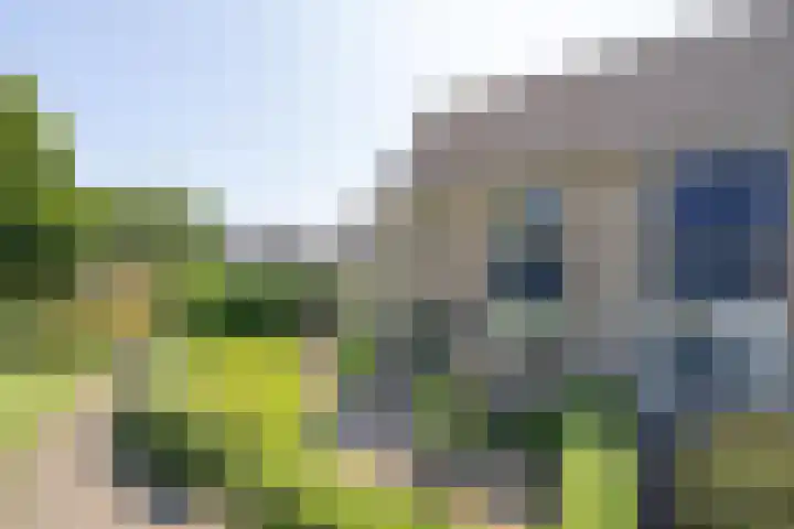 Galderie 16 Buren thumbnail 4