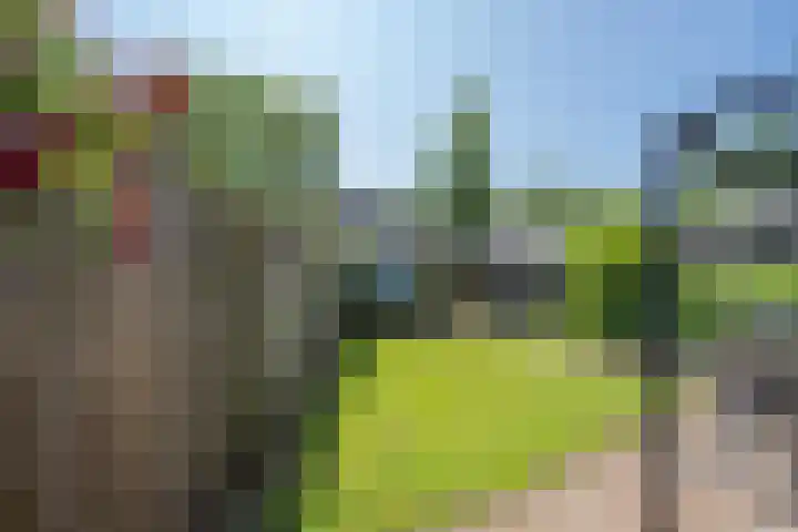 Galderie 16 Buren thumbnail 46