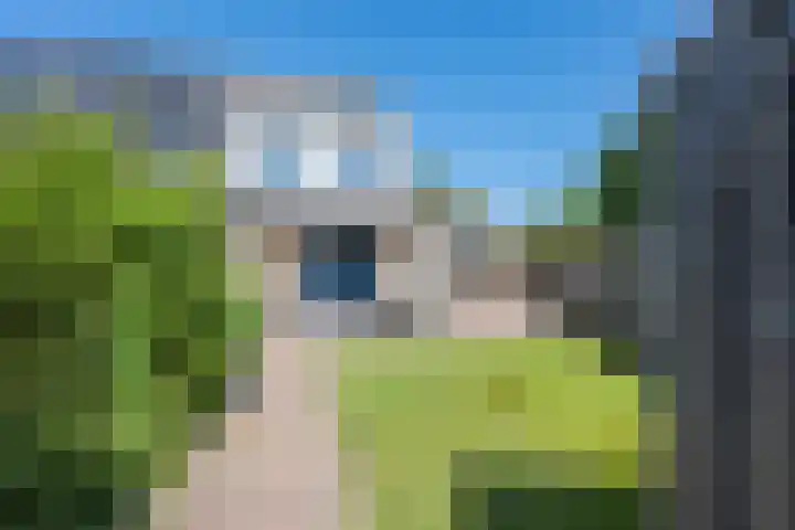 Galderie 16 Buren thumbnail 48