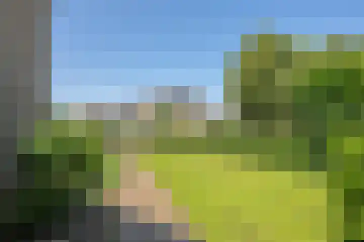 Galderie 16 Buren thumbnail 53