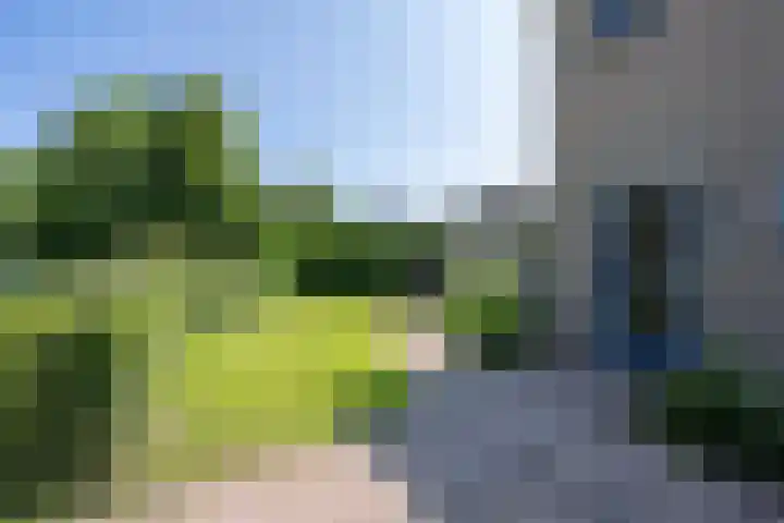 Galderie 16 Buren thumbnail 55