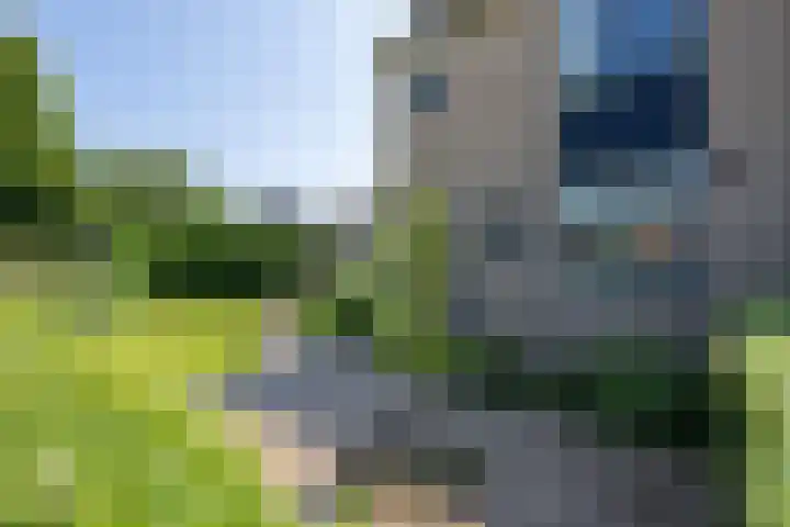 Galderie 16 Buren thumbnail 56