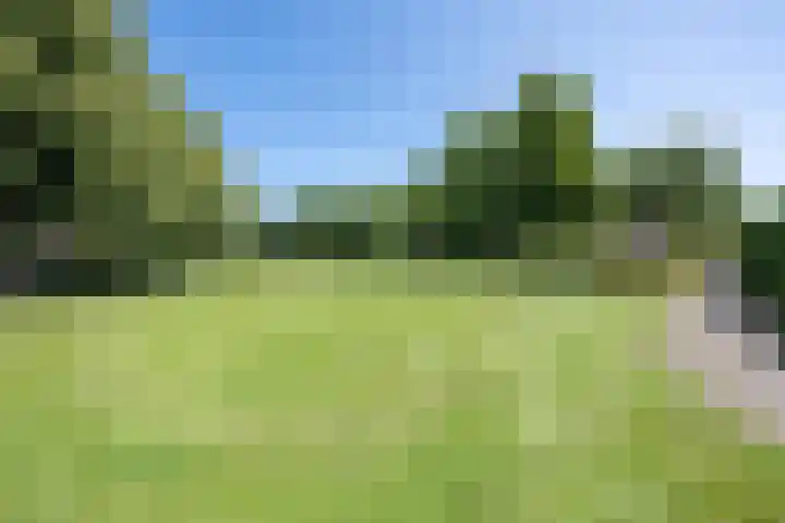 Galderie 16 Buren thumbnail 57