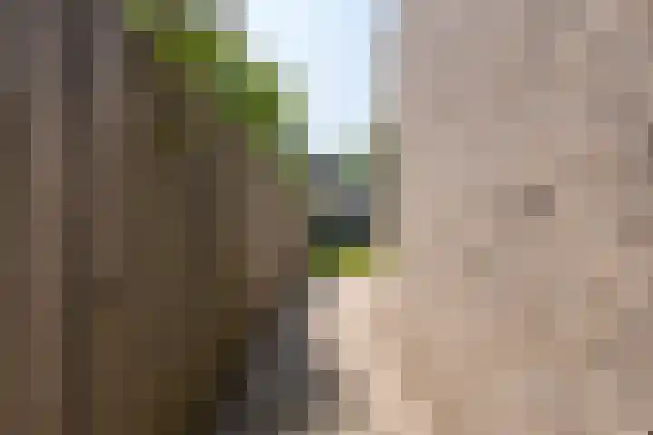 Galderie 16 Buren thumbnail 58