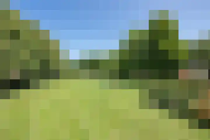 Galderie 16 Buren thumbnail 6