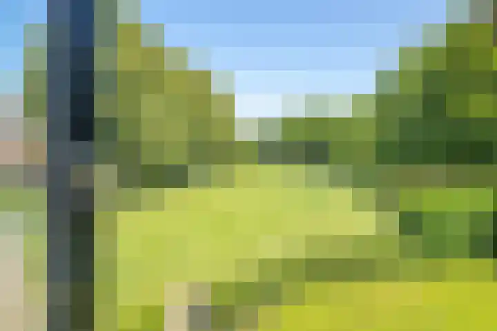 Galderie 16 Buren thumbnail 65