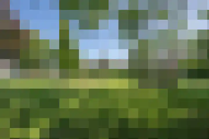 Galderie 16 Buren thumbnail 7