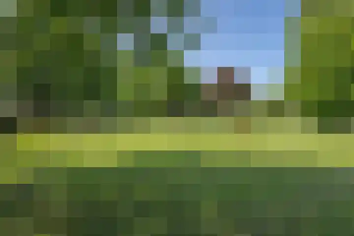 Galderie 16 Buren thumbnail 8
