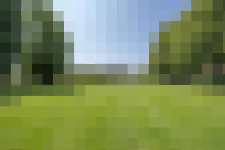 Galderie 16 Buren thumbnail 9