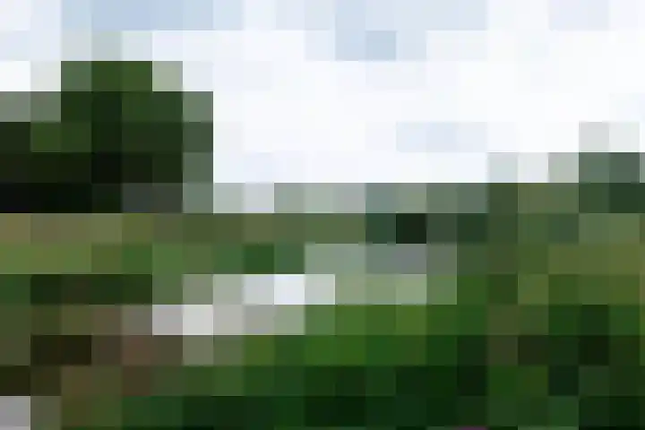 Galderseweg 107 Galder thumbnail 30