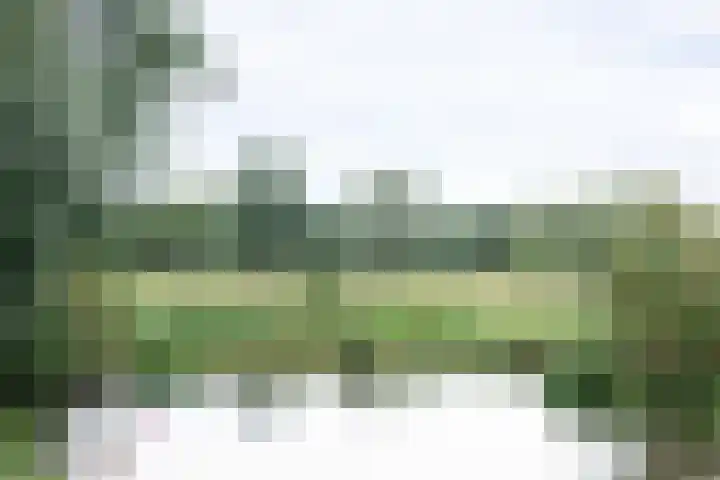 Galderseweg 107 Galder thumbnail 4
