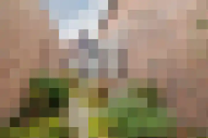 Galderseweg 48 Galder thumbnail 33