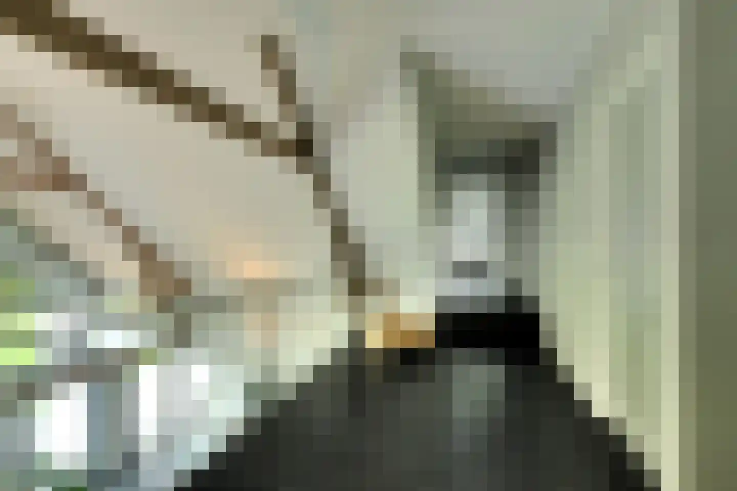Galderseweg 85 Galder thumbnail 23