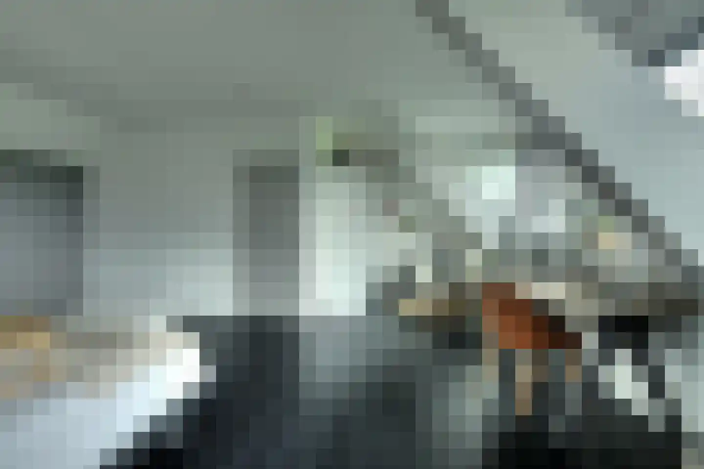 Galderseweg 85 Galder thumbnail 29