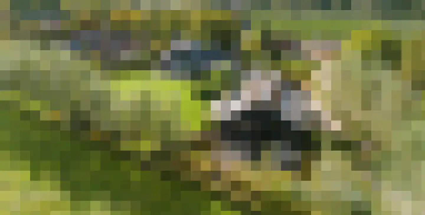 Galderseweg 85 Galder thumbnail 35