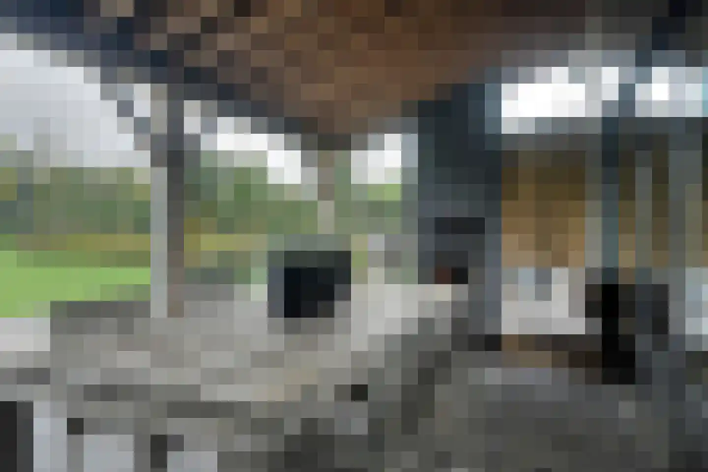 Galderseweg 85 Galder thumbnail 49