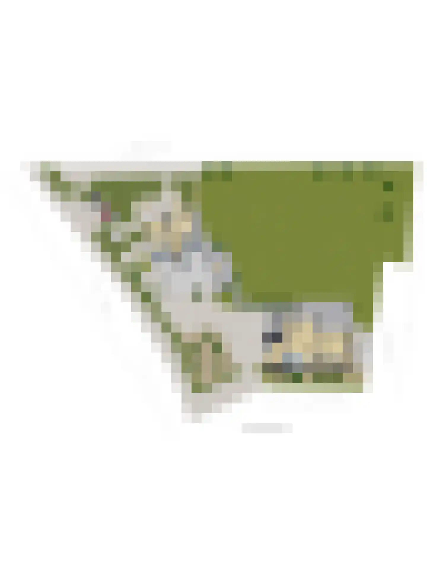 Galderseweg 85 Galder thumbnail 67