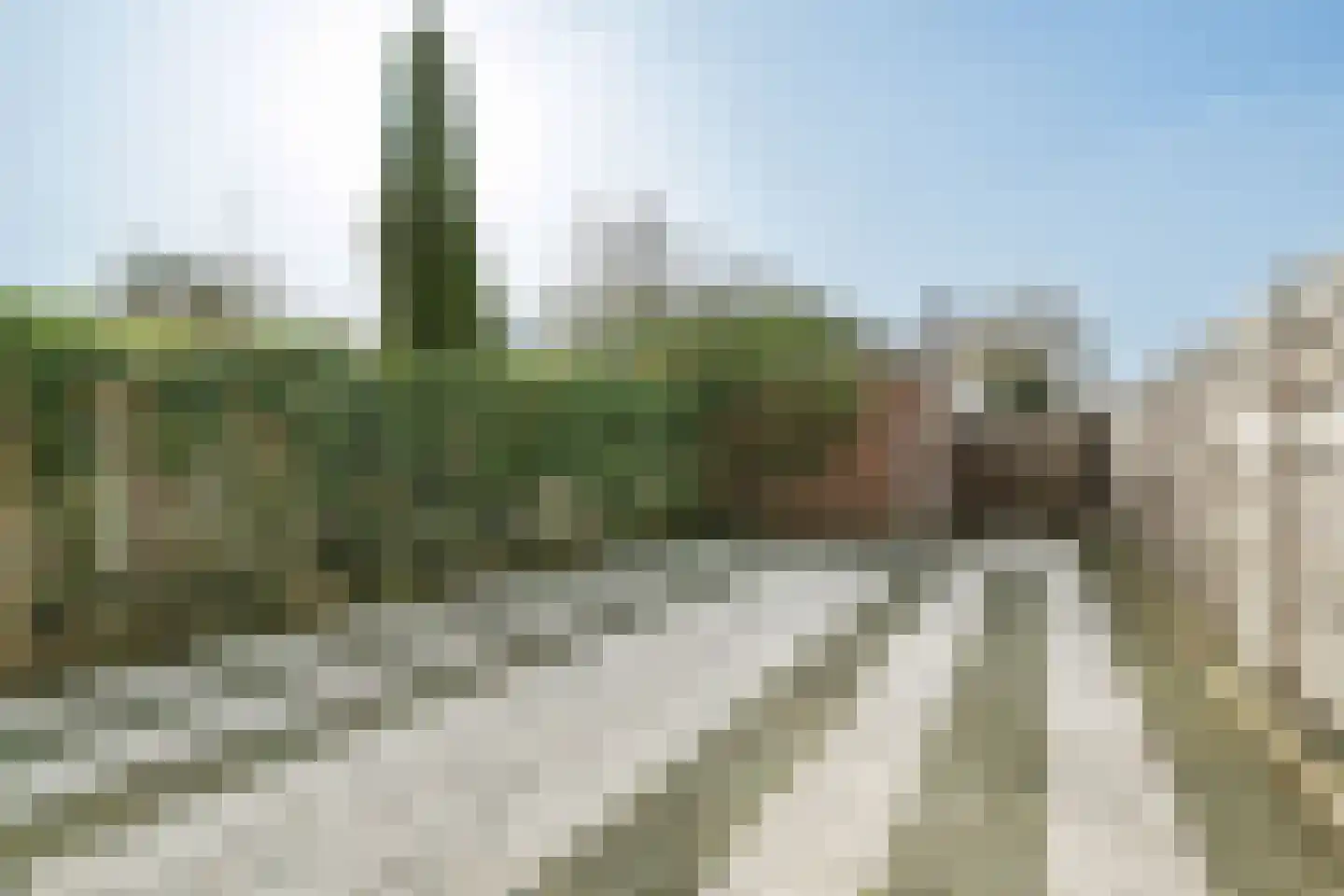 Galecopperlaan 23 Nieuwegein thumbnail 20