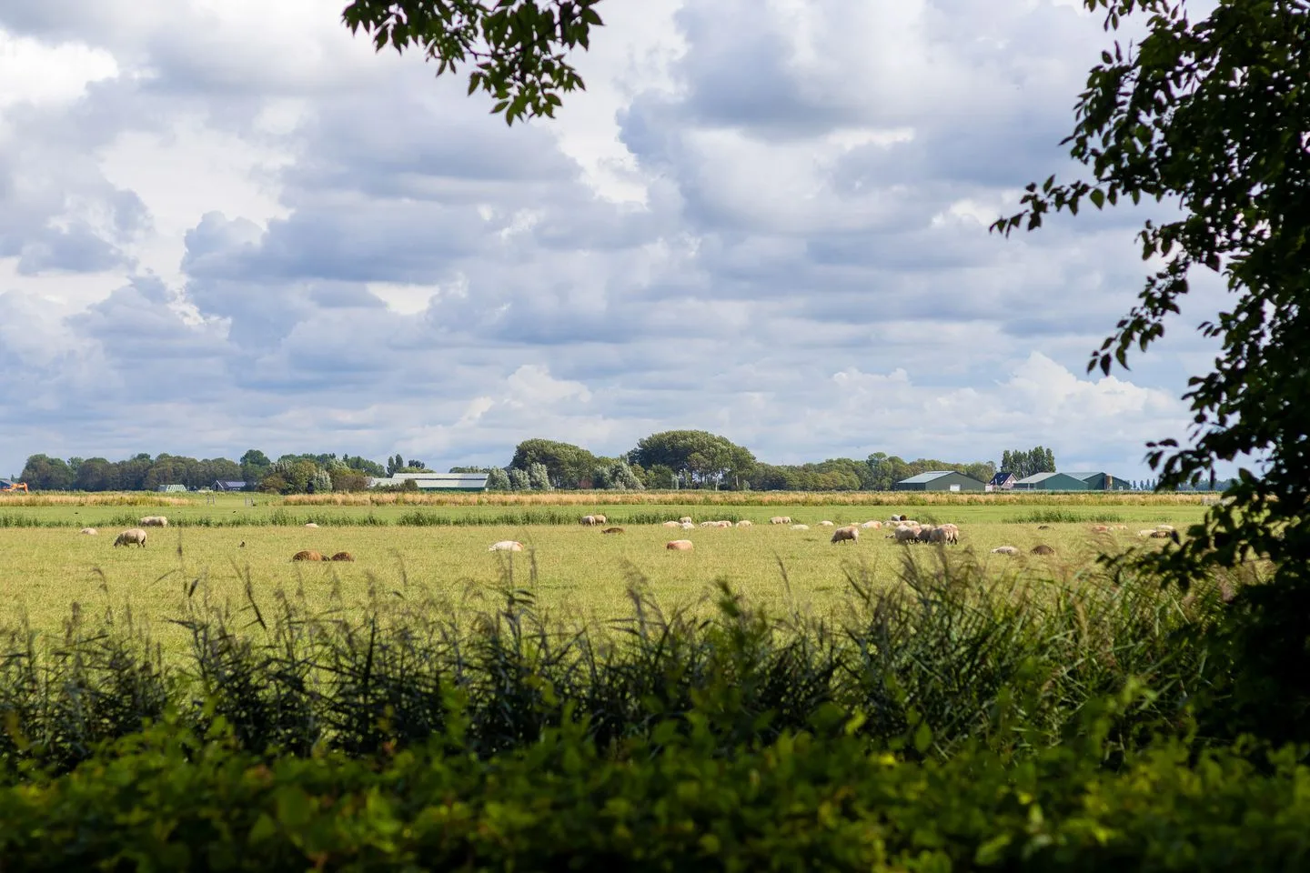 Galeihof 5 Harlingen thumbnail 4