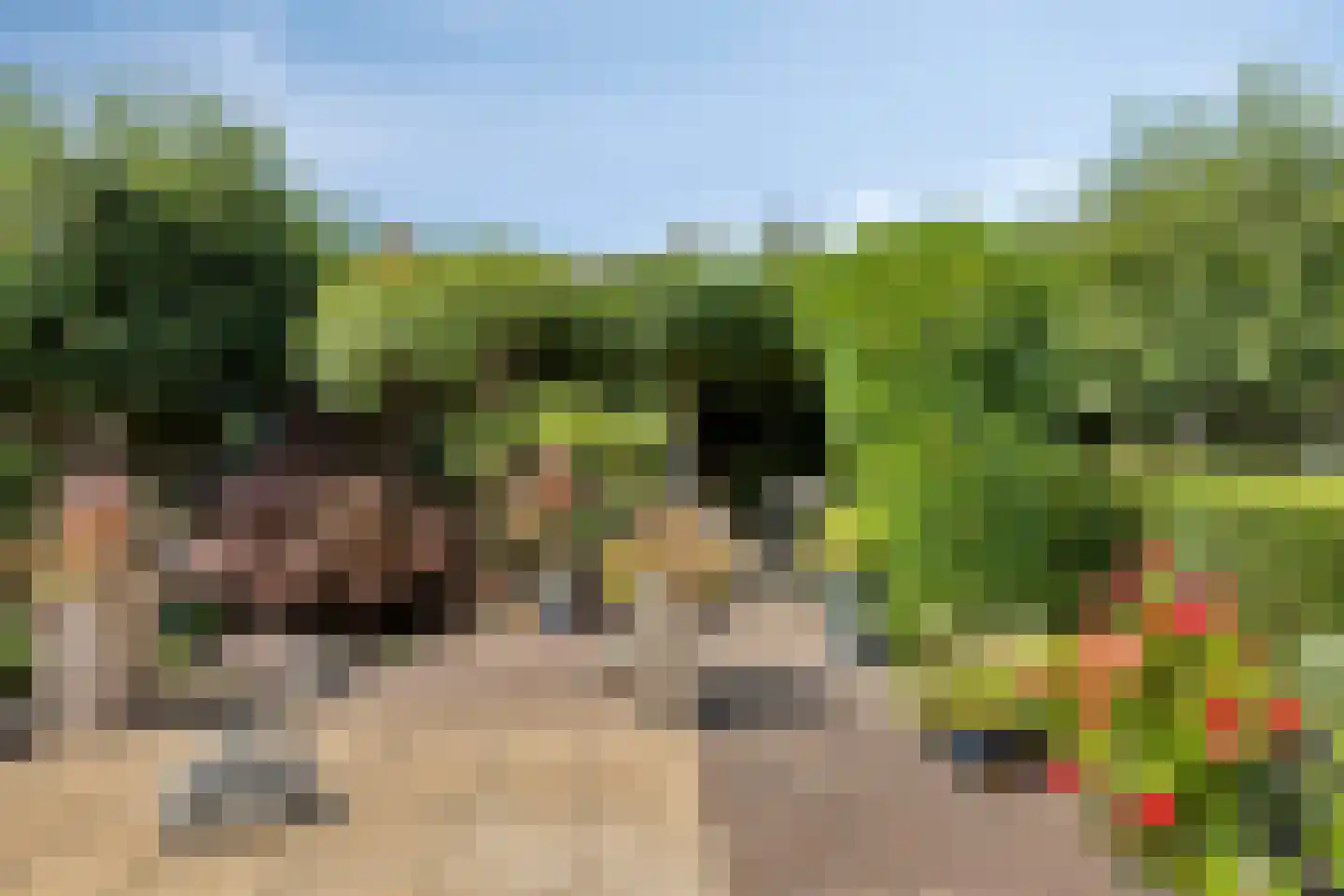 Galeistraat 13 's-Hertogenbosch thumbnail 32