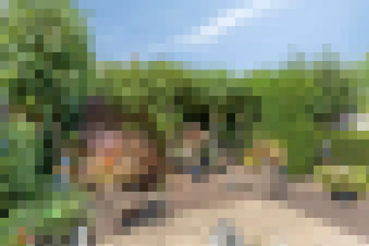 Galeistraat 13 's-Hertogenbosch thumbnail 33