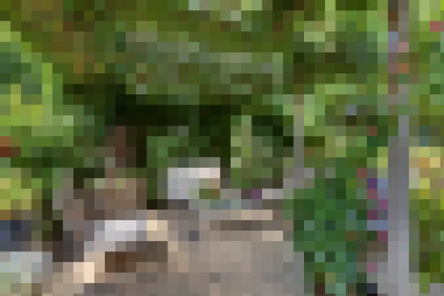 Galeistraat 13 's-Hertogenbosch thumbnail 34