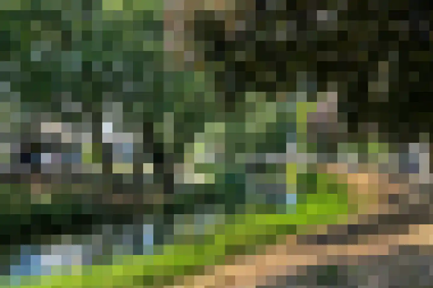 Galeistraat 13 's-Hertogenbosch thumbnail 38