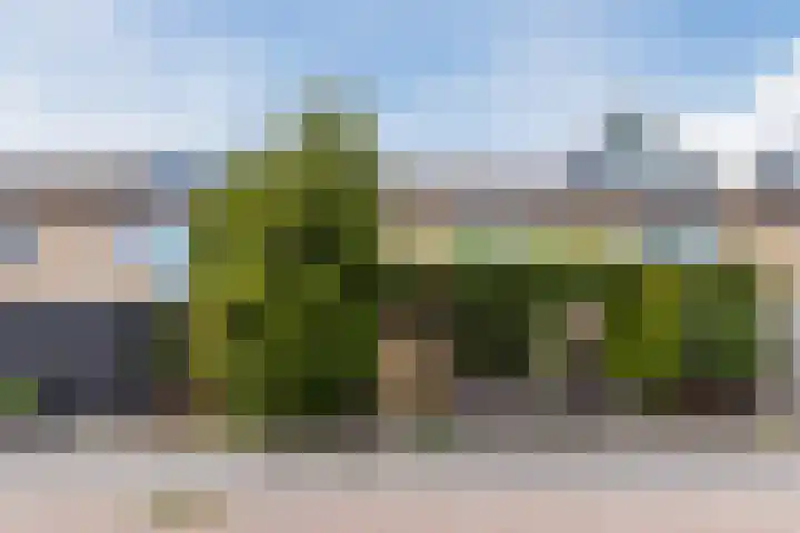 Galeistraat 29 Zaandam thumbnail 38