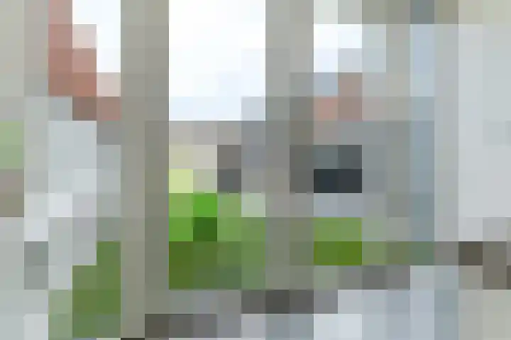 Galenuslaan 15 Bergen op Zoom thumbnail 13