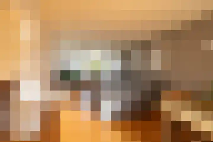 Galenuslaan 18 Groningen thumbnail 10