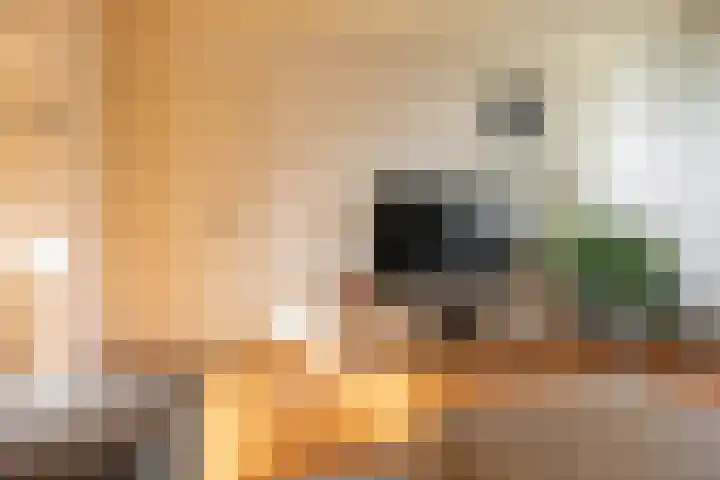Galenuslaan 18 Groningen thumbnail 12
