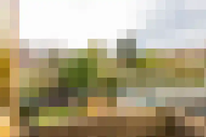 Galenuslaan 18 Groningen thumbnail 27