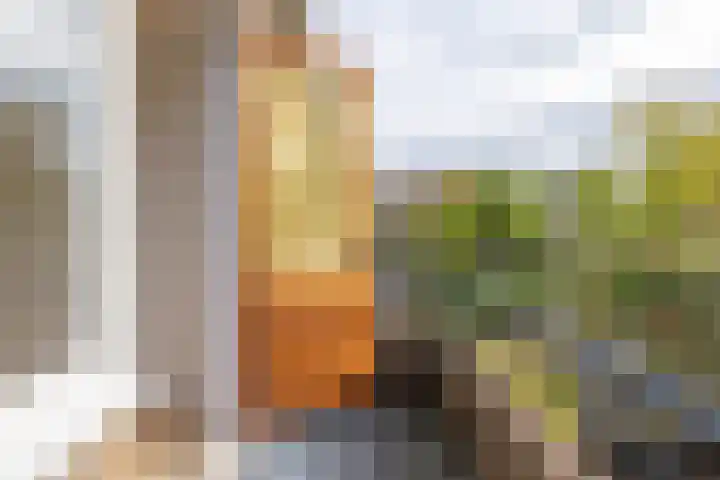 Galenuslaan 18 Groningen thumbnail 28